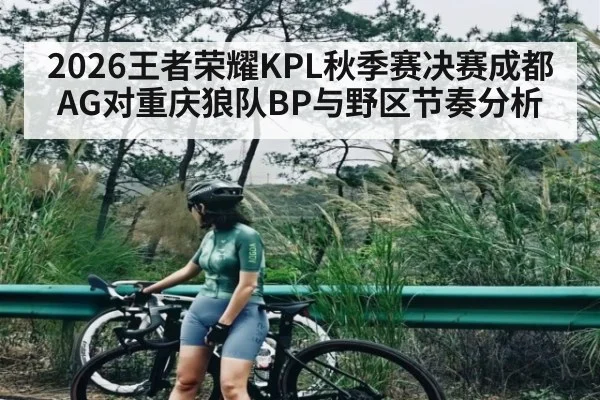 2026王者荣耀KPL秋季赛决赛成都AG对重庆狼队BP与野区节奏分析